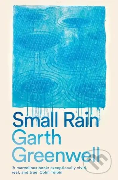 Small Rain - Garth Greenwell - kniha z kategorie Společenská beletrie