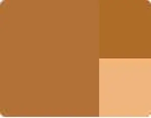Akrylová barva Lefranc 200ml – 424 Raw Sienna