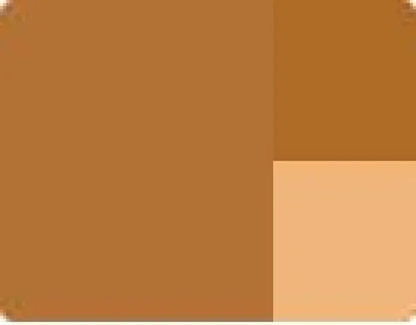 Akrylová barva Lefranc 200ml – 424 Raw Sienna