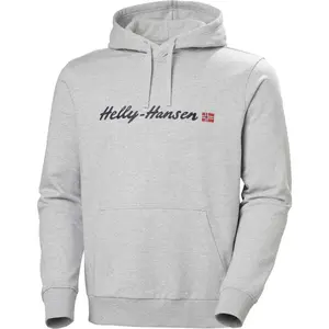 Helly Hansen CORE GRAPHIC HOODIE Pánská mikina s kapucí, šedá, velikost