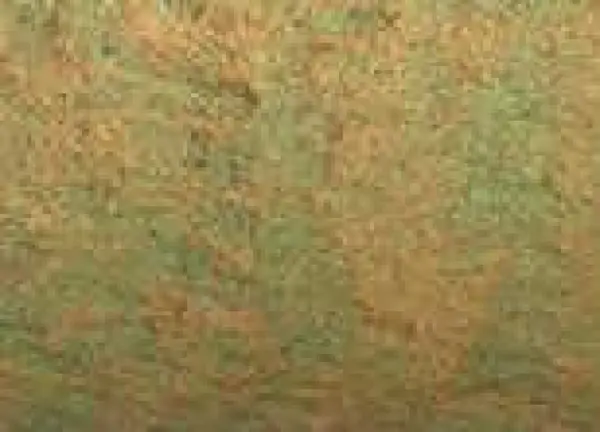 Akvarelová barva DS 15ml – 4037 Duochrome Saguaro Green