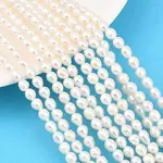 Natural Cultured Freshwater Pearl Beads Strands