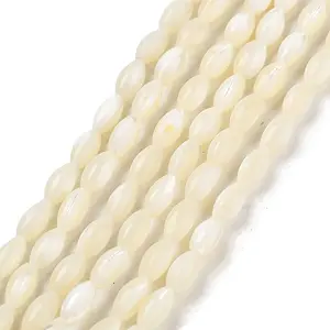 Natural Trochid Shell/Trochus Shell Beads Strands