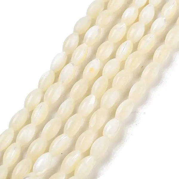 Natural Trochid Shell/Trochus Shell Beads Strands
