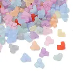 Frosted Transparent Acrylic Beads