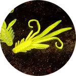 Redbass gumová nástraha nymfa signal yellow g uv - x 100 mm