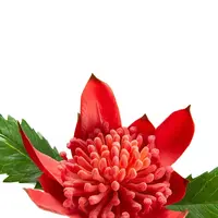 Umelý kvet home & lifestyle