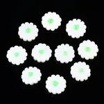 Natural Freshwater Shell Beads
