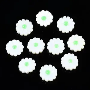 Natural Freshwater Shell Beads