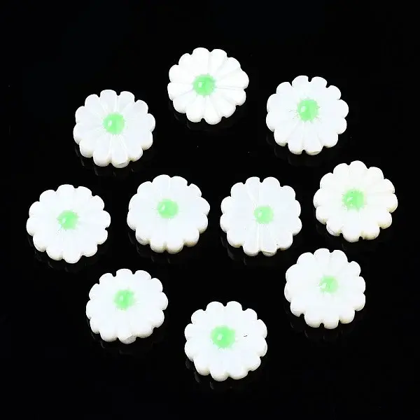 Natural Freshwater Shell Beads