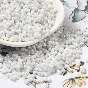 Glass Seed Beads