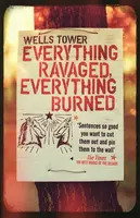 Everything Ravaged, Everything Burned - Tower Wells