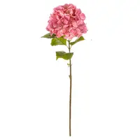 DEKORAČNÍ KVĚTINA