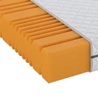 Sleeptex MATRACE ZE STUDENÉ PĚNY, 90/200 cm