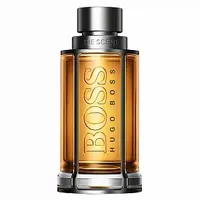 Hugo Boss The Scent toaletní voda pro muže 100 ml