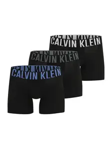 Calvin Klein Underwear Boxerky  modrá / sivá / čierna / biela