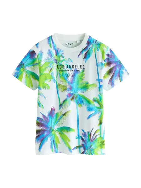 Next Tričko  modrá / jablková / modrofialová / čierna