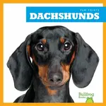 Dachshunds - Kaitlyn Duling