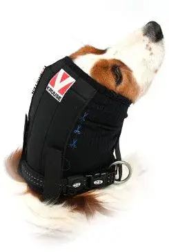 Bandáž uší a hlavy pro psa Buster XXL