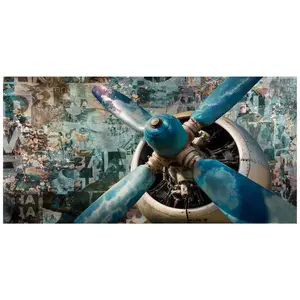 Monee TIŠTĚNÉ OBRAZY NA PLÁTNĚ, vintage, letadlo, 140/70 cm