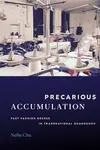 Precarious Accumulation - Nellie Chu