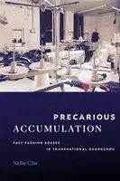 Precarious Accumulation - Nellie Chu