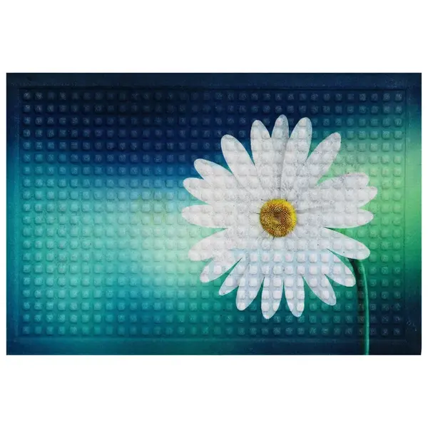 DVEŘNÍ ROHOŽKA, 40/60 cm