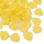 Autumn Theme Transparent Frosted Acrylic Pendants