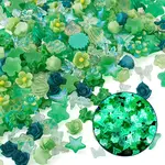 30g Luminous Opaque Resin Cabochons