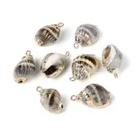 Electroplate Natural Spiral Shell Pendants