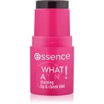 essence WHAT A TINT! multifunkční líčidlo na rty a tváře odstín 10 Raspberry Vibes 5 g