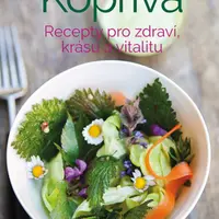 Kopřiva - Gabriele Leonie Bräutigam - e-kniha