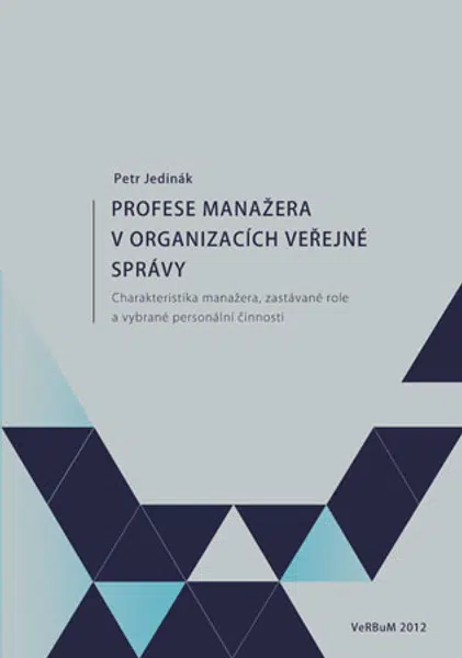 Profese manažera v organizacích veřejné správy - Petr Jedinák - e-kniha