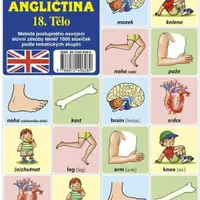 Najdi dvojici - Angličtina - 18. Tělo