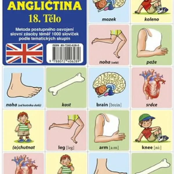 Najdi dvojici - Angličtina - 18. Tělo
