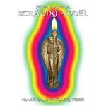 Strážný anděl - audiokniha