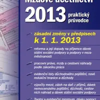 Mzdové účetnictví 2013 - Václav Vybíhal - e-kniha