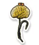 4anglersdesign samolepka 38 rig with brain