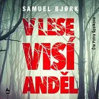 Samuel Bjork – V lese visí anděl