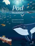 Pod hladinu (Defekt) - Gianumberto Accinelli