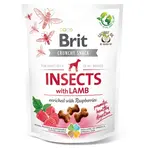 BRIT Care Crunchy Snack Insects with Lamb pamlsky s hmyzem a jehněčím pro psy 200 g