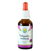 SALVIA PARADISE Ostropestřec mariánský tinktura 50 ml