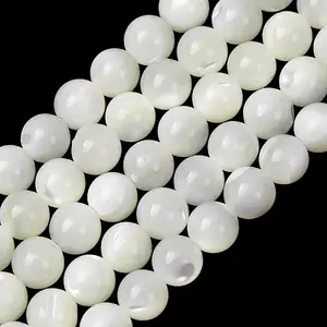 Natural Trochid Shell/Trochus Shell Beads Strands