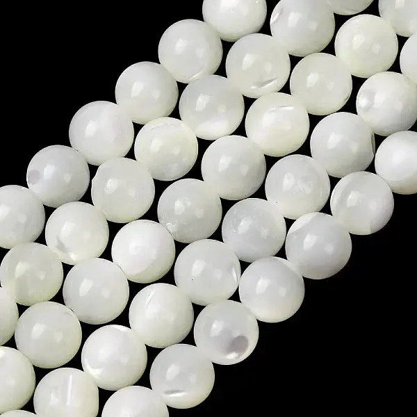 Natural Trochid Shell/Trochus Shell Beads Strands