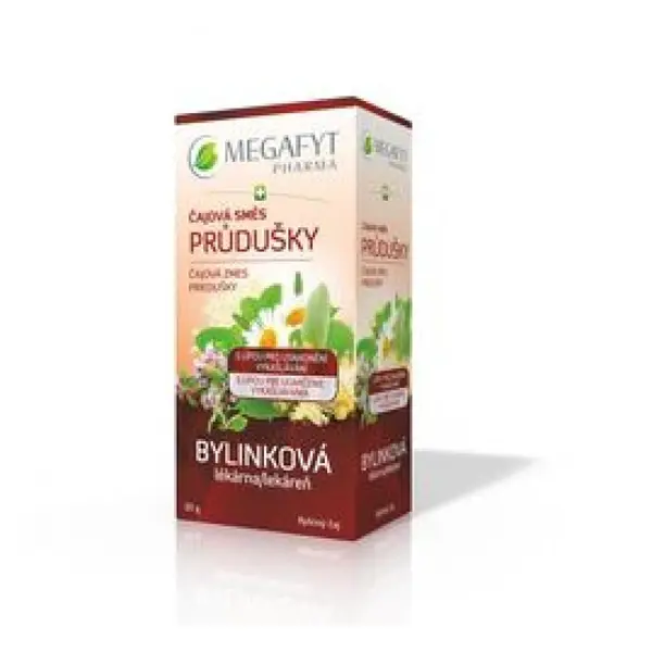 MEGAFYT Čajová směs průdušky 20 x 1,5 g