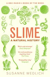 Slime - Susanne Wedlich