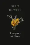 Tongues of Fire - Sean Hewitt