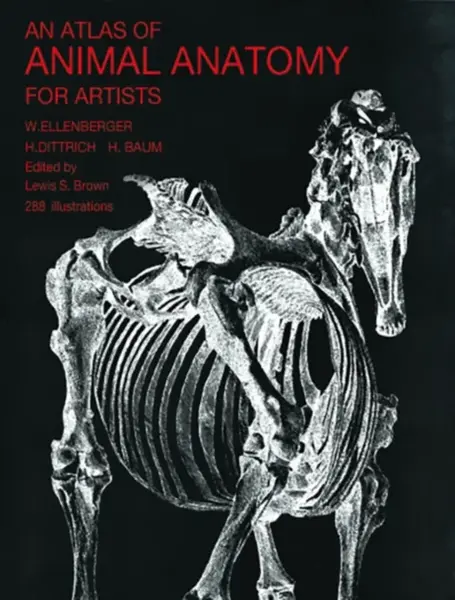 An Atlas of Animal Anatomy for Artists - W. Ellenberger