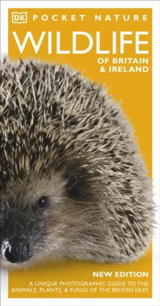 Pocket Nature Wildlife of Britain and Ireland - DK