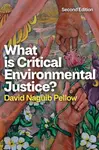 What is Critical Environmental Justice? - David Naguib  Pellow